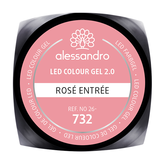 Colour Gel ROSE ENTREE 5G