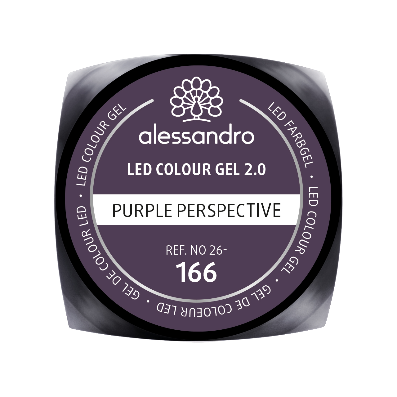 Colour Gel 2.0 Purple Perspective 5 g