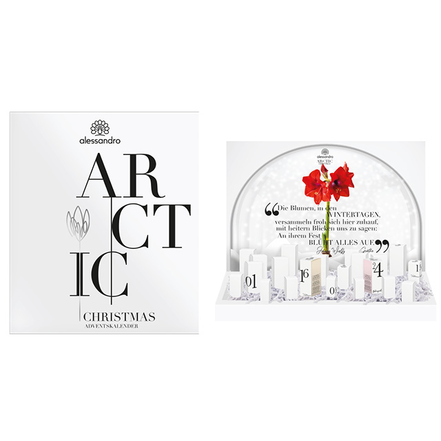 ARCTIC ADVENTSKALENDER DELUXE
