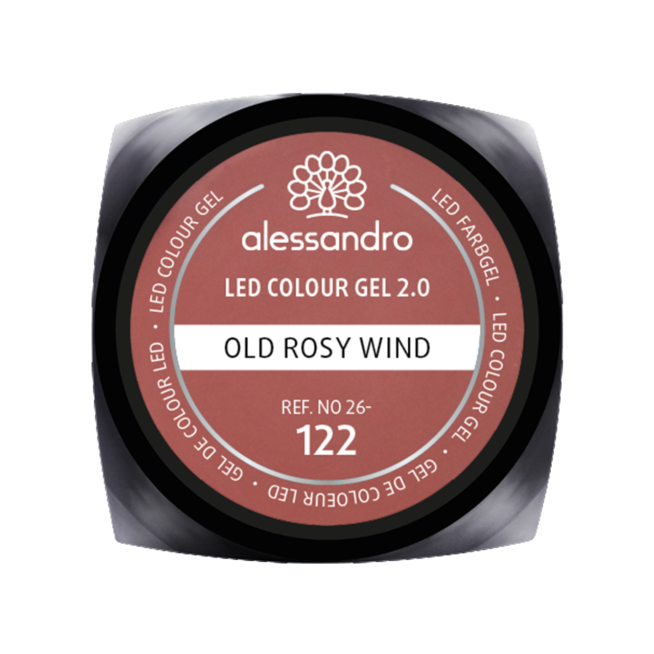 Colour Gel Old Rosy Wind 5g