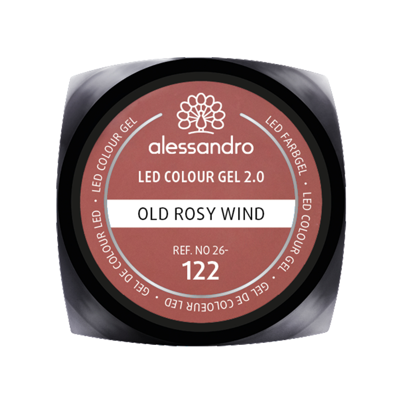 Colour Gel Old Rosy Wind 5 g